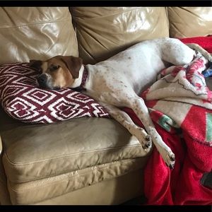 Meet your Posher, Jeanice